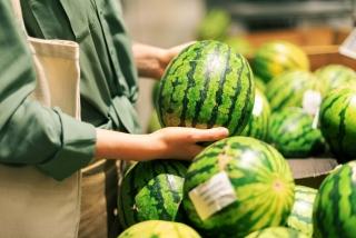 A consumer selects a watermelon from a bulk bin in a grocery store