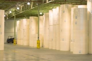 Pulp rolls in warehouse