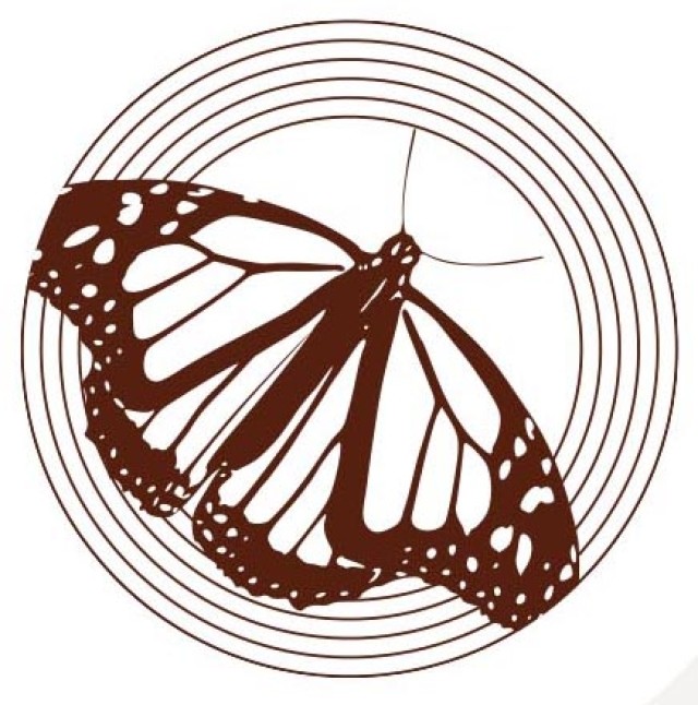 Butterfly Line Art