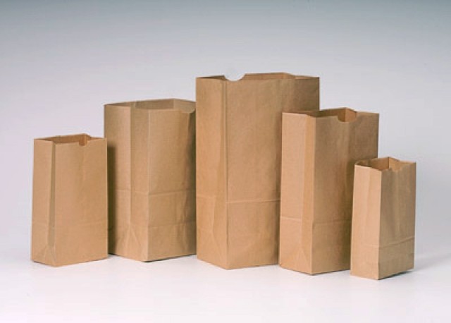 Kraft Paper Grocery & Shopping Bags